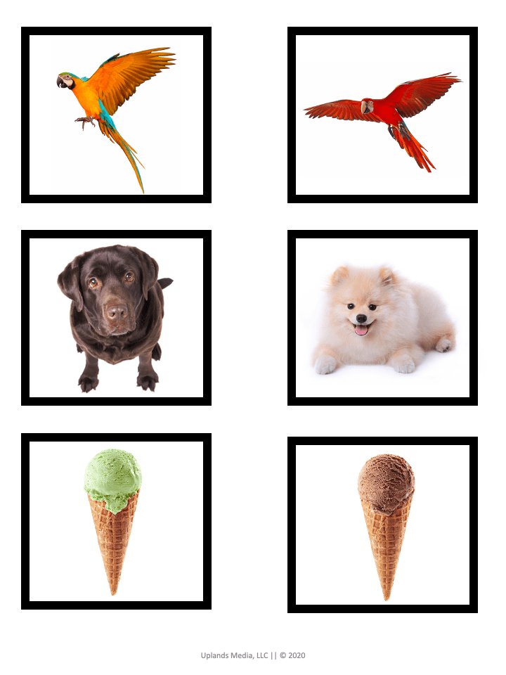 [Grammar] Adjectives Activities - Printables by Carrots Are Orange