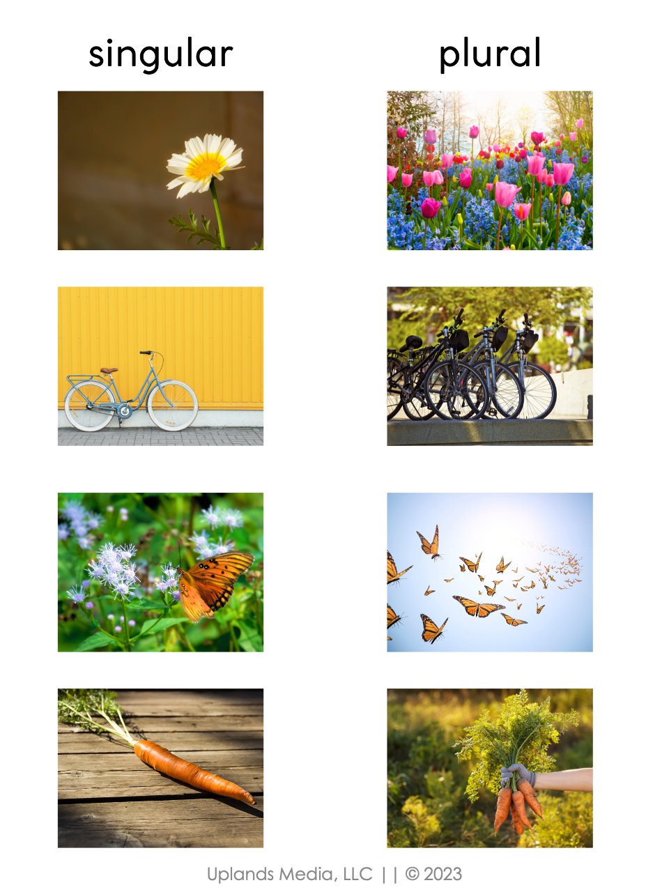 [Grammar] Noun Activities - Printables by Carrots Are Orange