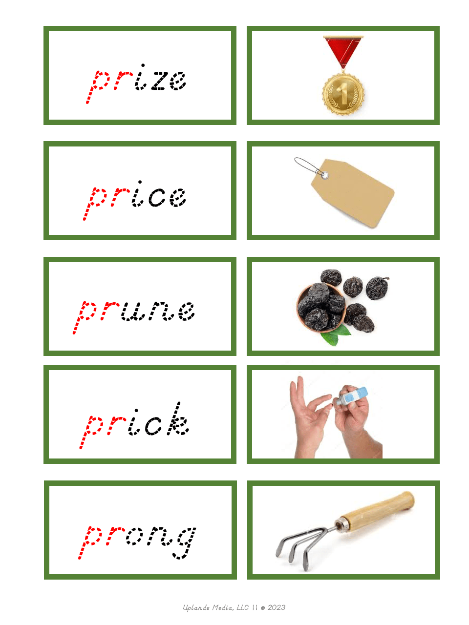 [Green Level] Digraph Word Label & Image Cards - Printables by Carrots Are Orange