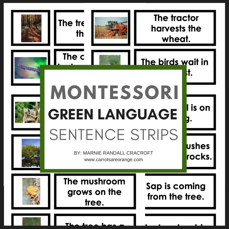 [Green Series] Sentence Strips - Printables by Carrots Are Orange