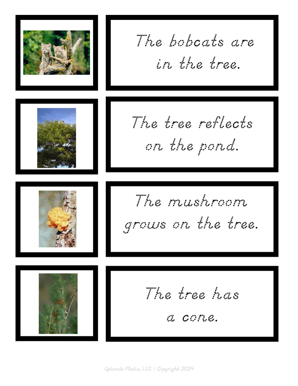 [Green Series] Sentence Strips - Printables by Carrots Are Orange