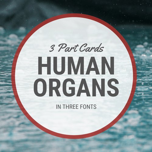 🧠 Human Organs - Printables by Carrots Are Orange
