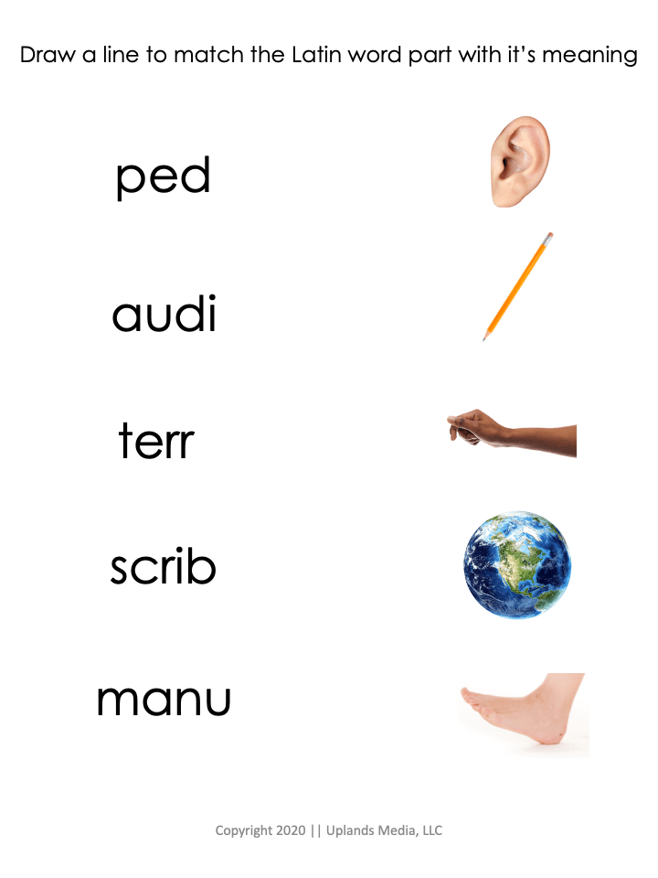 [Language] Latin Activities Pack - Printables by Carrots Are Orange