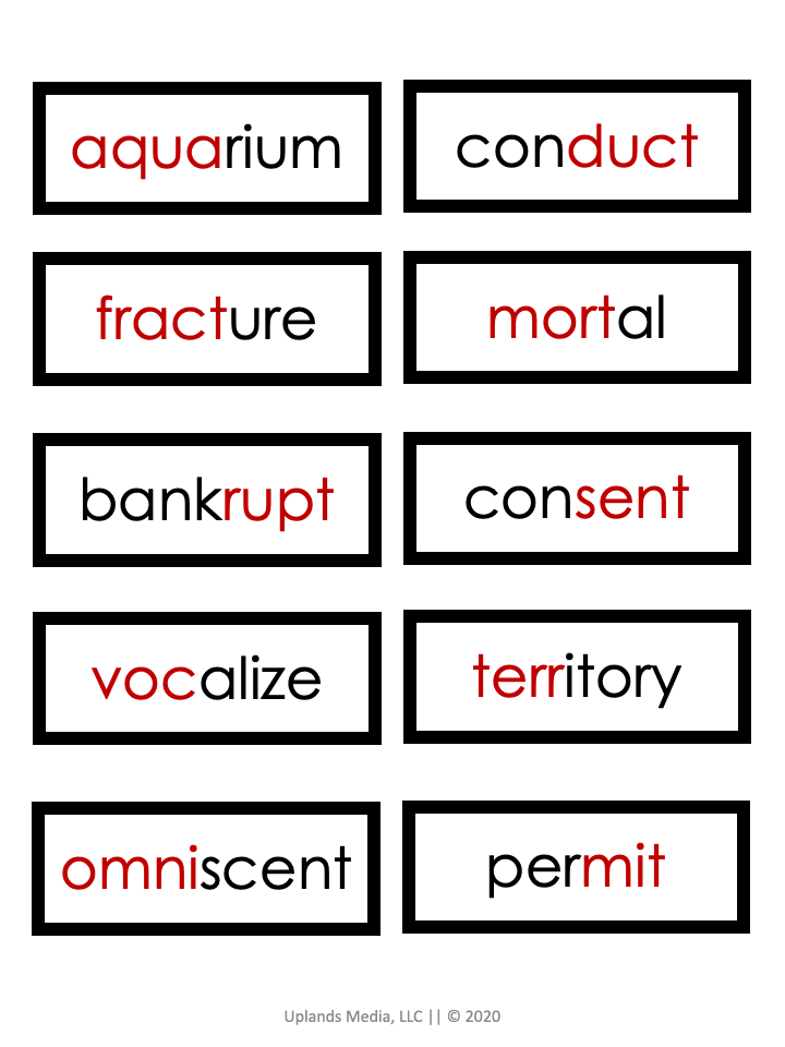 [Language] Latin Activities Pack - Printables by Carrots Are Orange