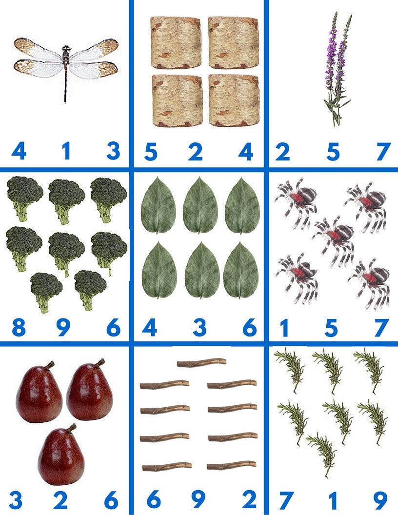 🪵 Math Activities - Nature Theme - Printables by Carrots Are Orange