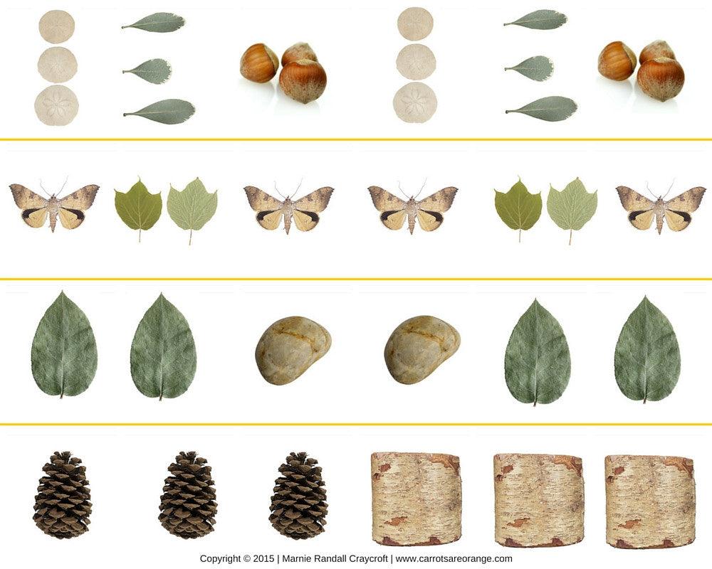 🪵 Math Activities - Nature Theme - Printables by Carrots Are Orange