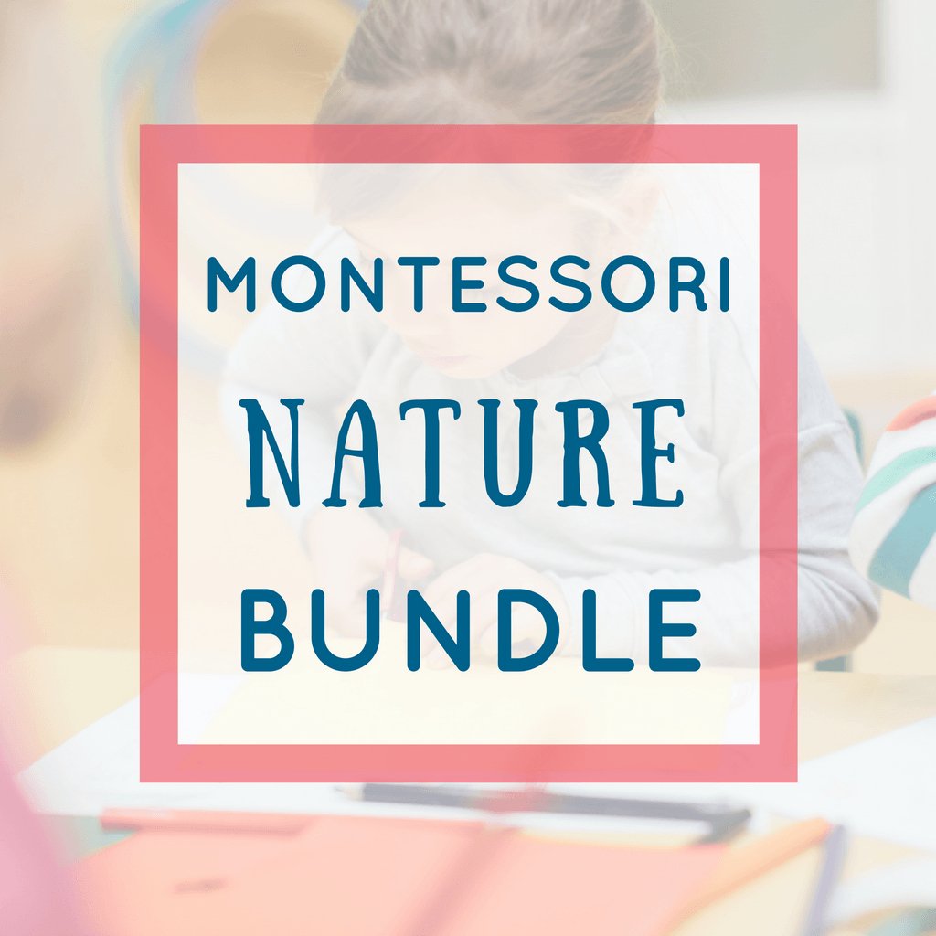 🪵 Math Activities - Nature Theme - Printables by Carrots Are Orange