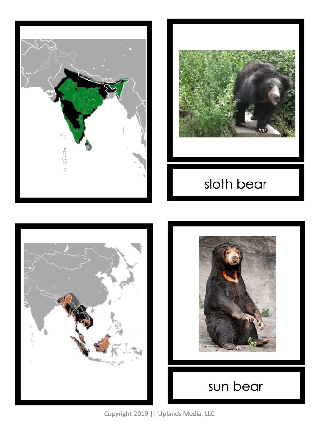 🌎 Montessori Geography Bundle - Printables by Carrots Are Orange