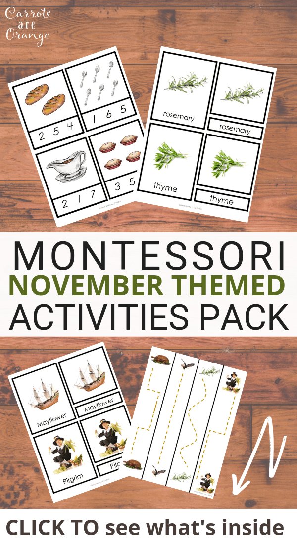 🦃 Montessori November Activities Pack - Printables by Carrots Are Orange