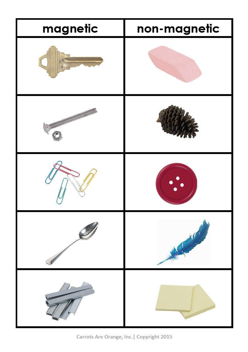 Montessori Science Activities Bundle - Printables by Carrots Are Orange