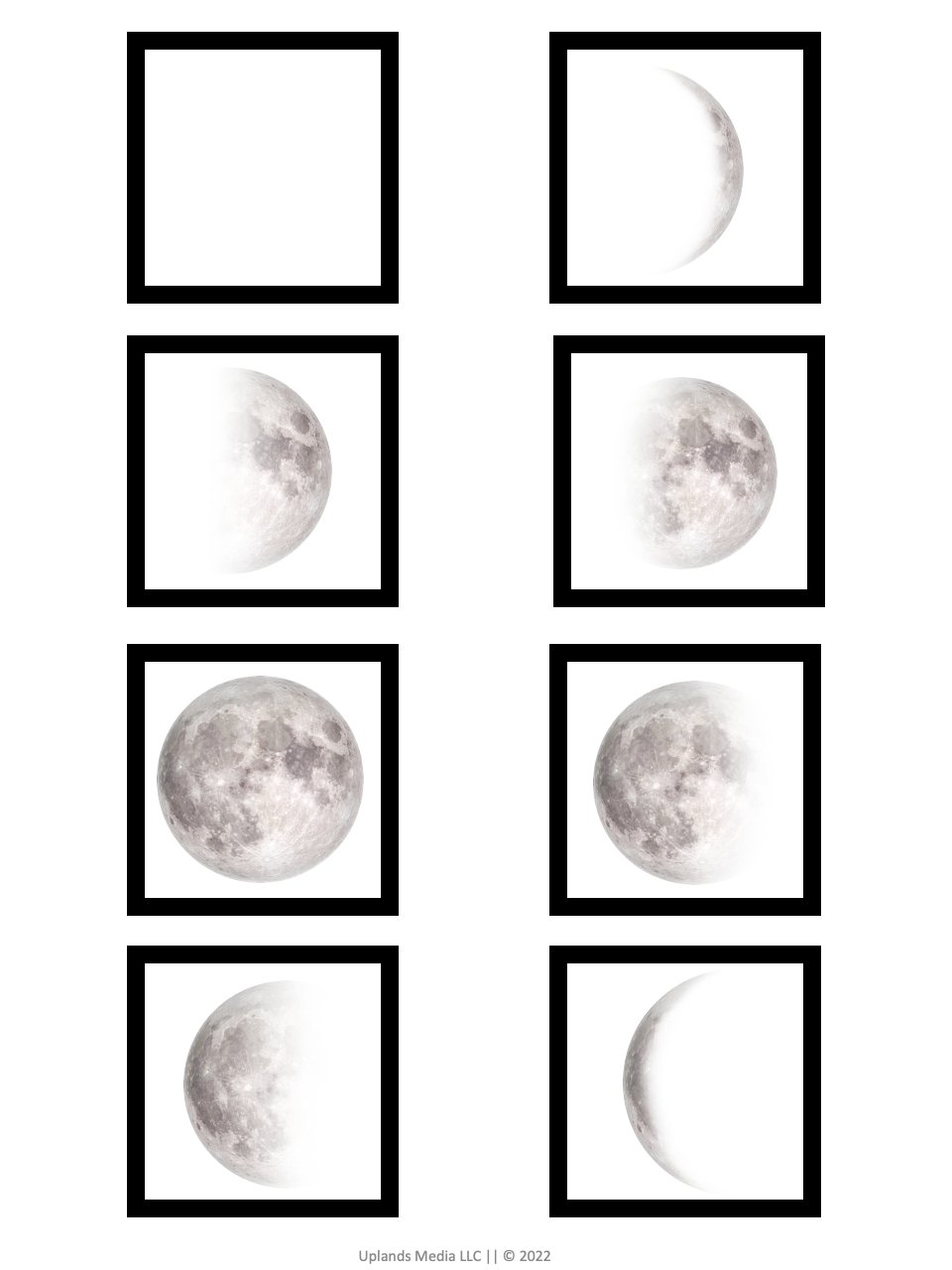 🌑 Phases of the Moon - Printables by Carrots Are Orange
