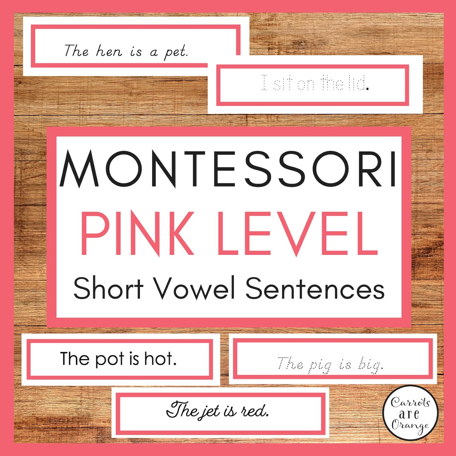 [Pink Level] Short Vowel Sentences - Printables by Carrots Are Orange