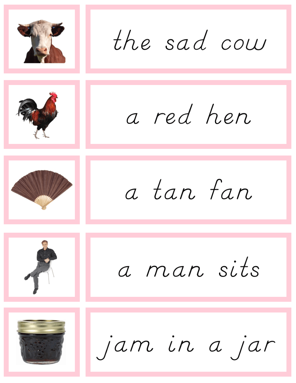 [Pink Level] Word Phrase Cards - Printables by Carrots Are Orange