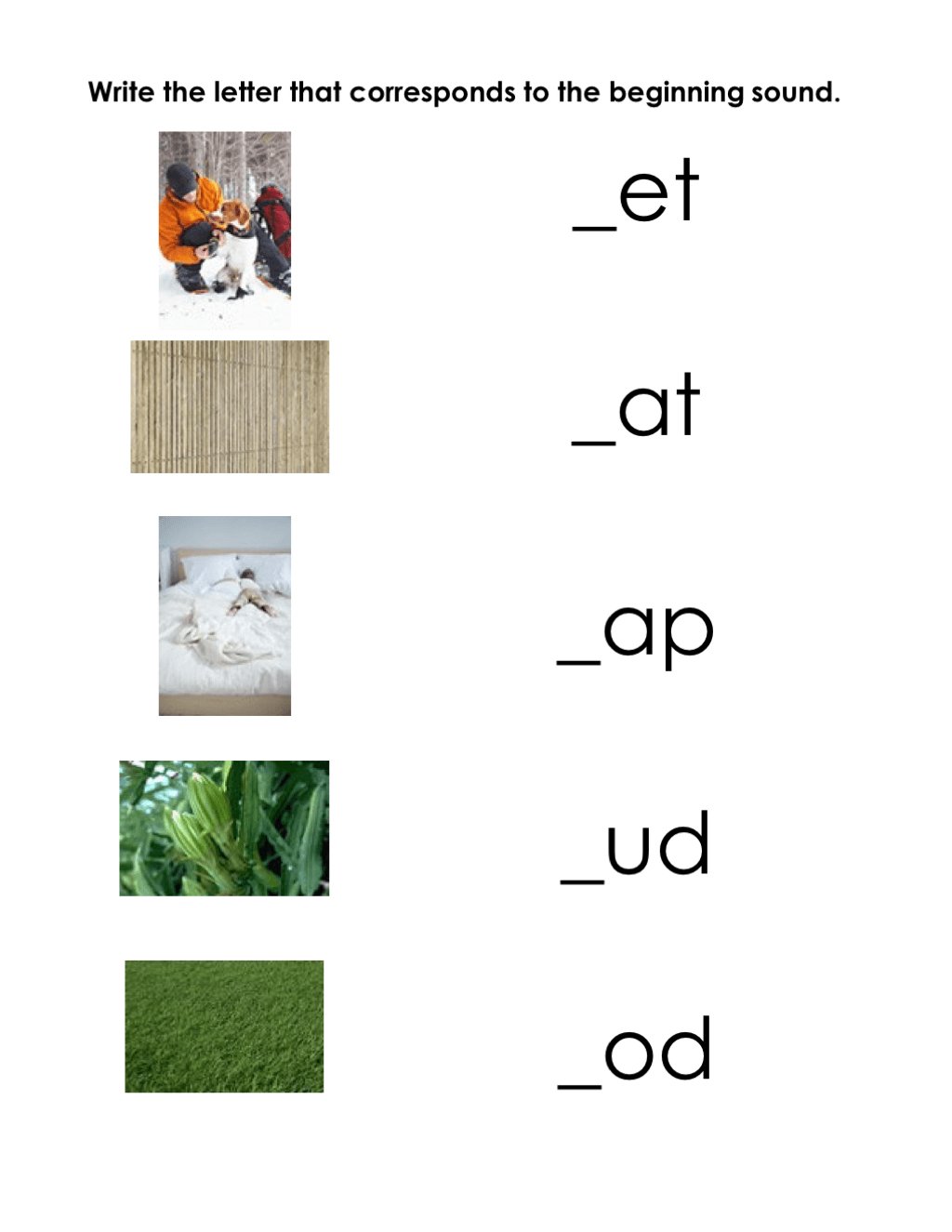 [Pink Series] Beginning Phonetic Sounds - Printables by Carrots Are Orange
