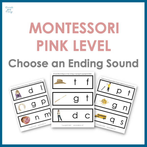 [Pink Series] Choose An Ending Sound Activity - Printables by Carrots Are Orange