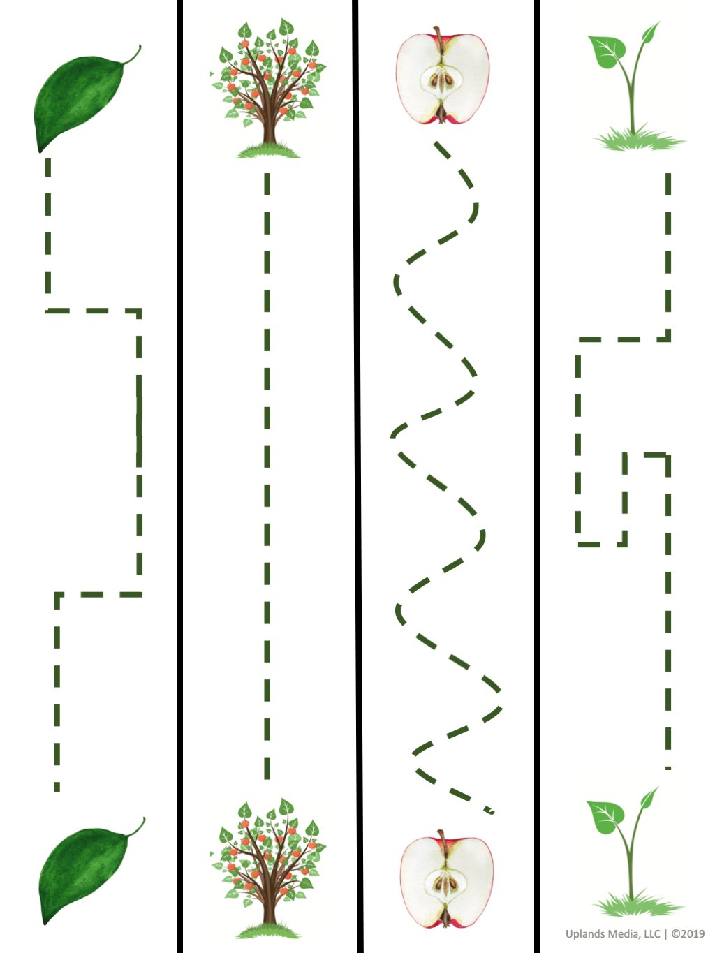 [Practical Life] Cutting Strips Bundle - Printables by Carrots Are Orange