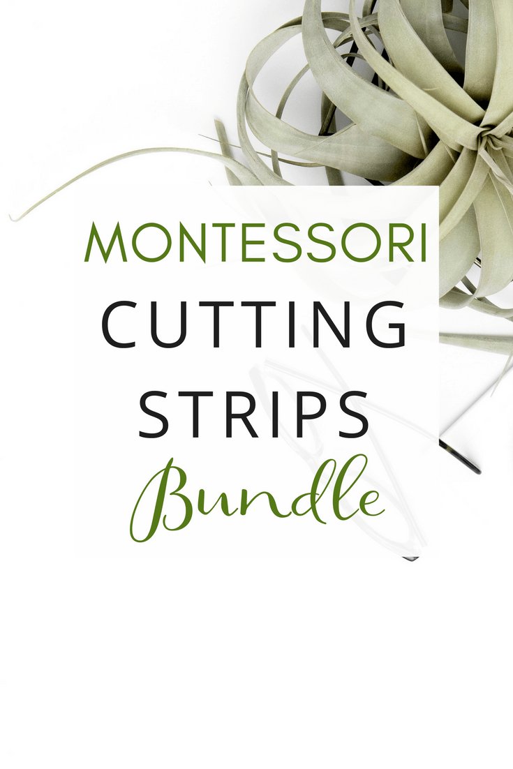 [Practical Life] Cutting Strips Bundle - Printables by Carrots Are Orange