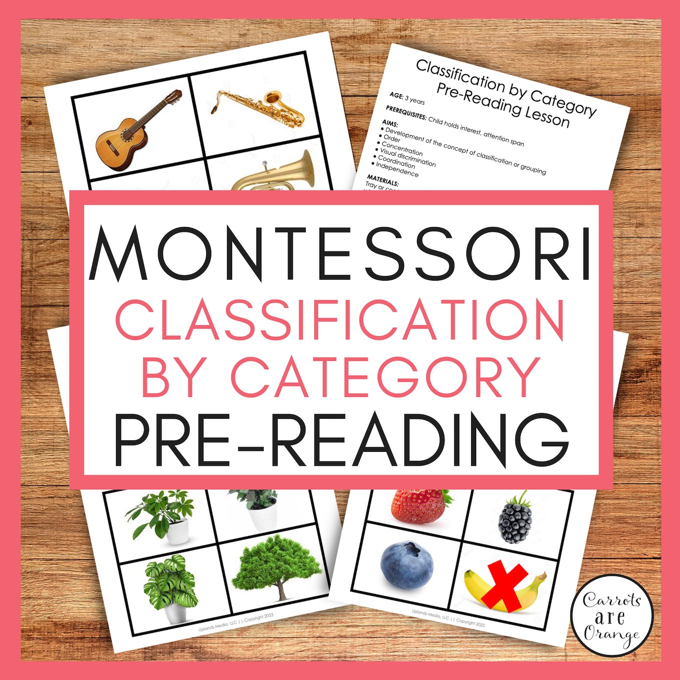 [Pre-Reading] Classification by Category Cards - Printables by Carrots Are Orange