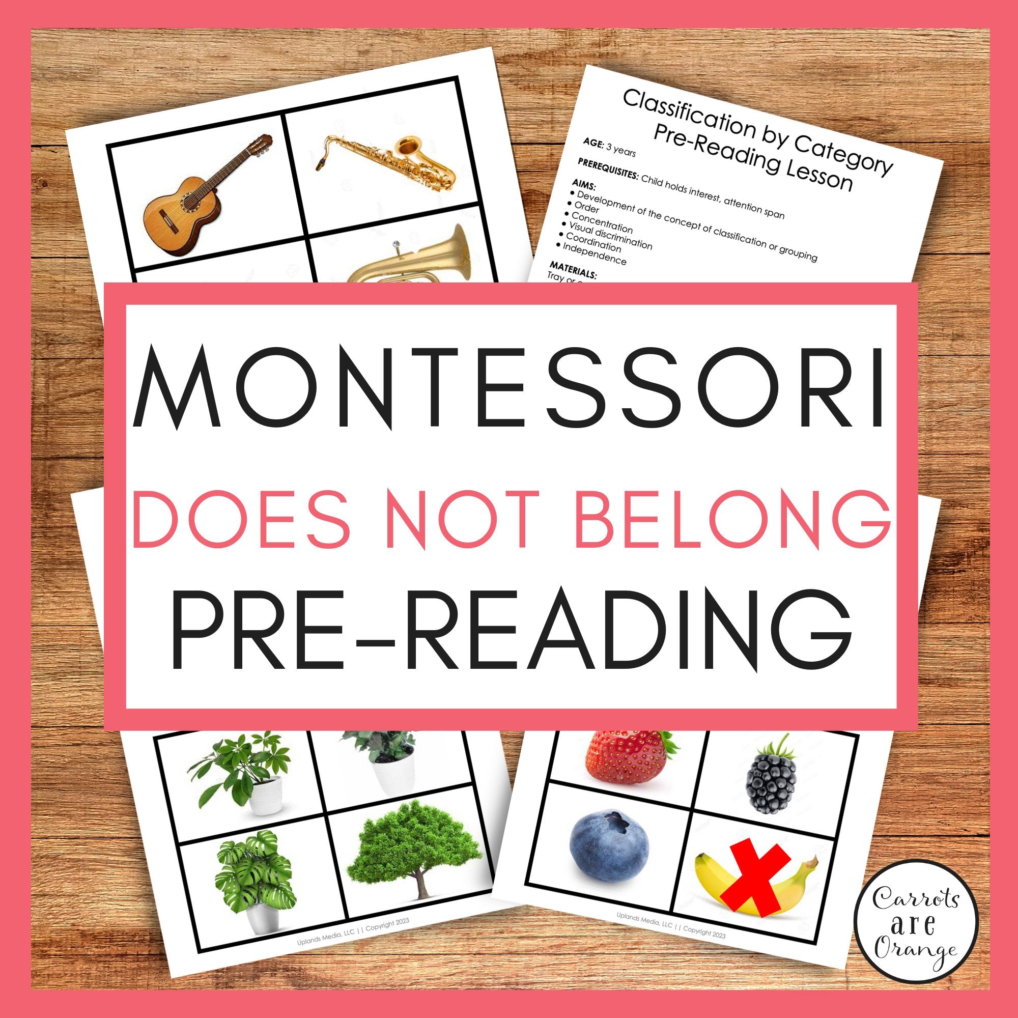 [Pre-Reading] "Does Not Belong" - Printables by Carrots Are Orange
