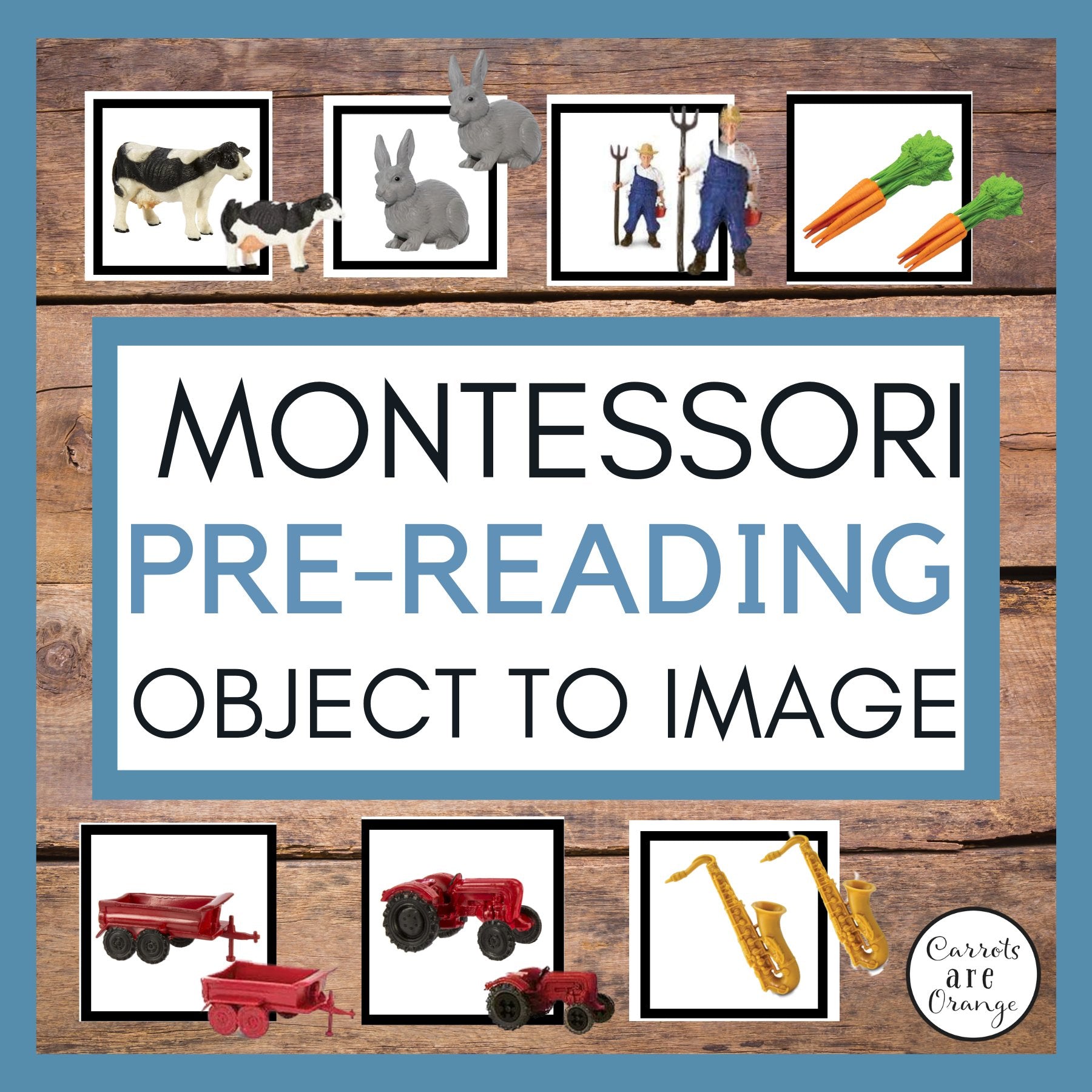 [Pre-Reading] Object to Image Match - Printables by Carrots Are Orange