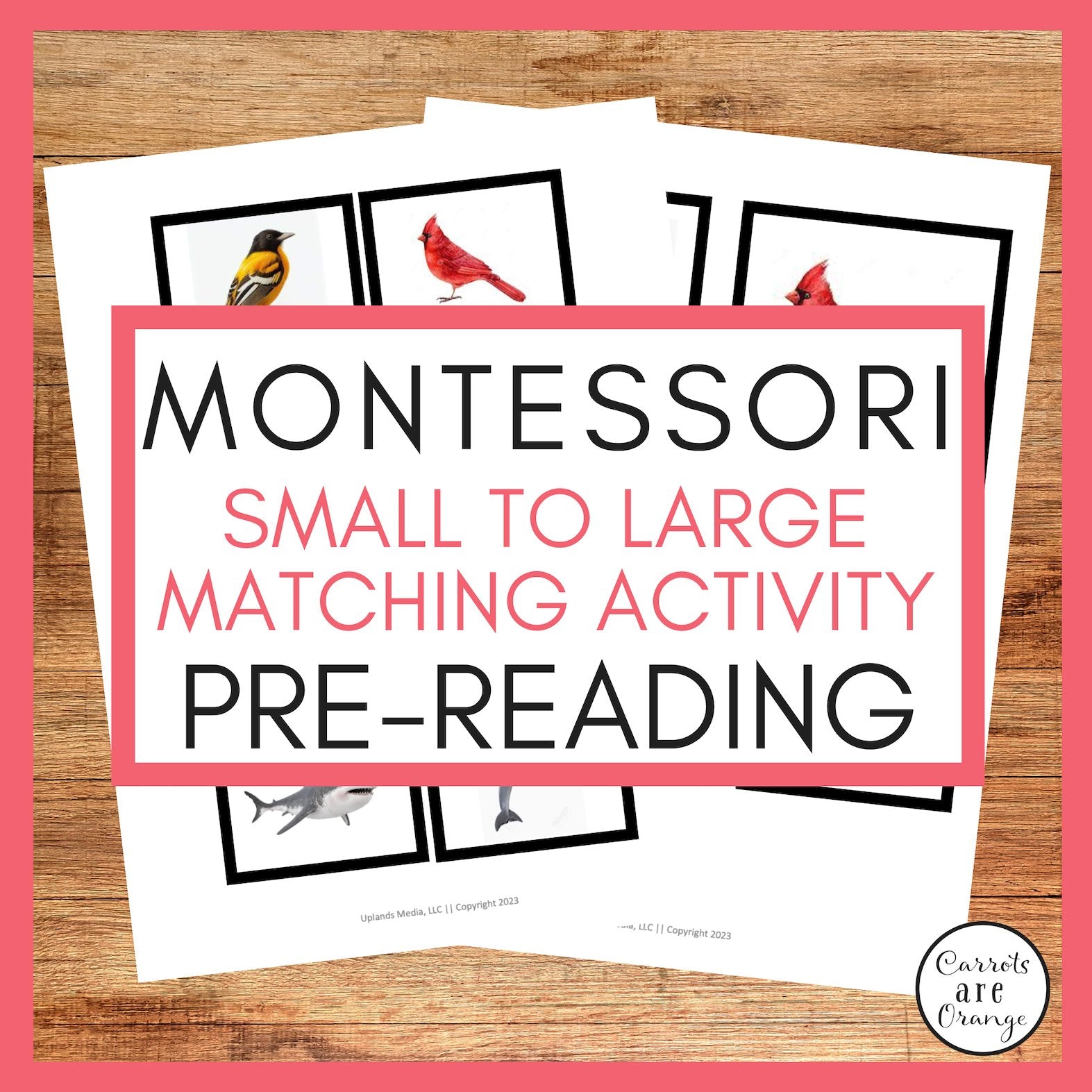 [Pre-Reading] Small to Large Matching - Printables by Carrots Are Orange
