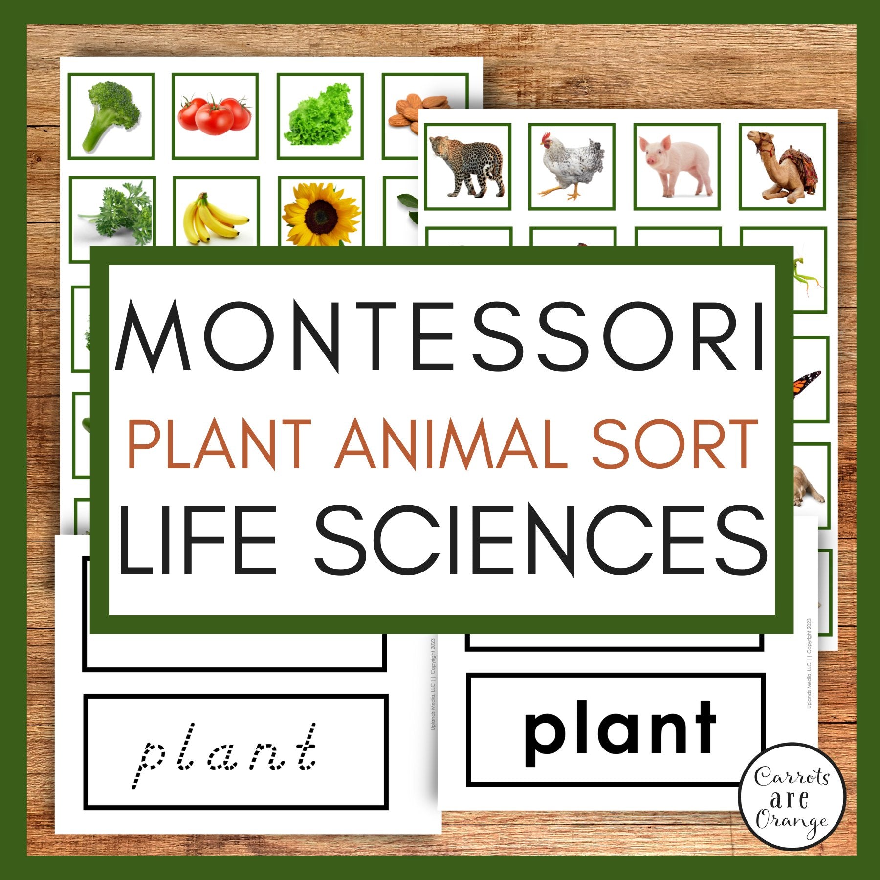 [Science] Plant & Animal Sort Activity - Printables by Carrots Are Orange