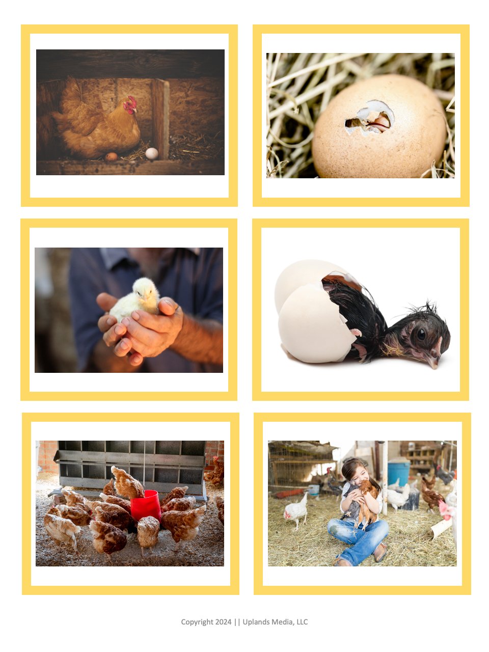 🐣 Sentence Strips [Chicken Theme] - Printables by Carrots Are Orange