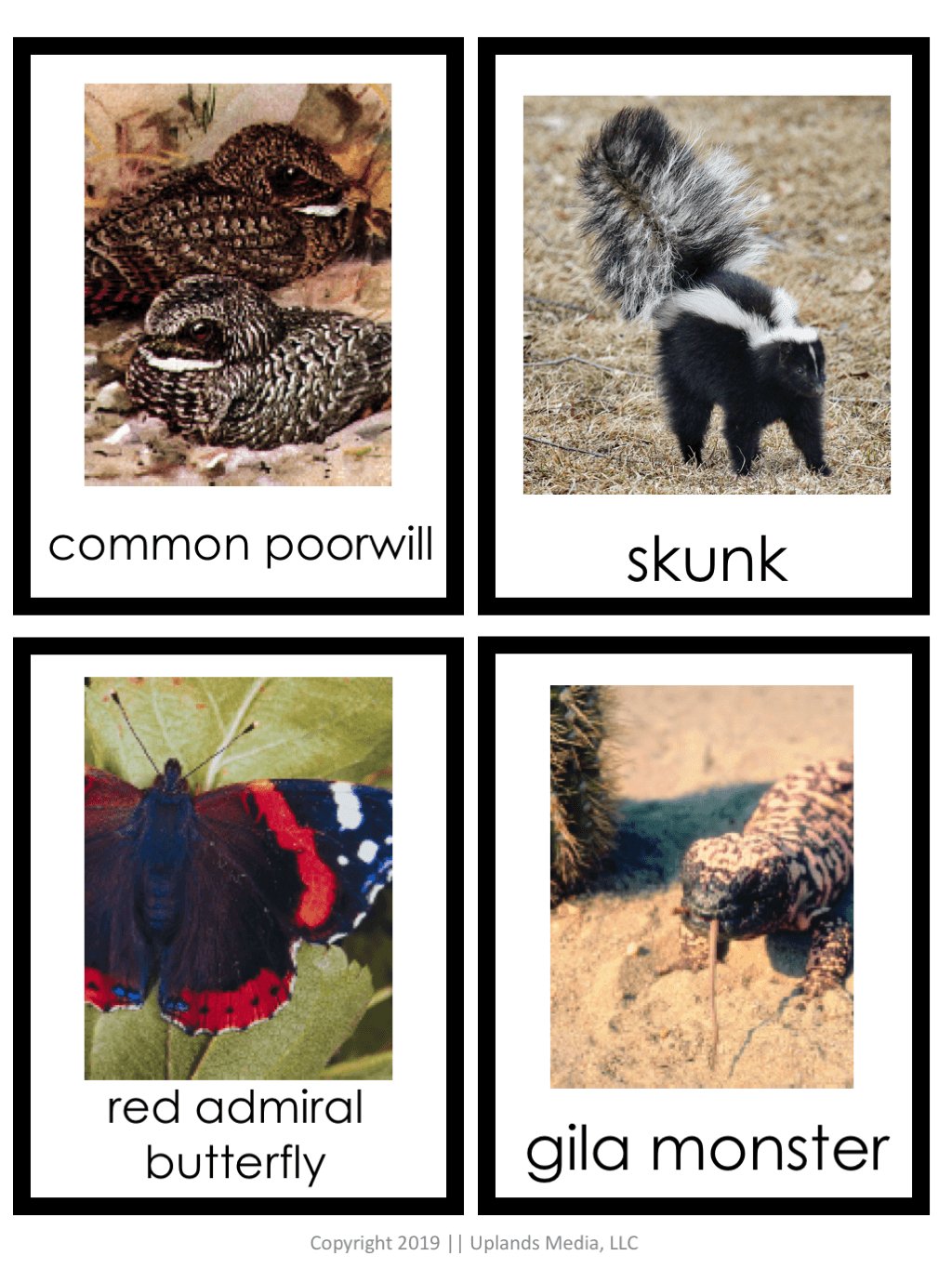 Winter Animals - Migrators, Hibernators, and Adaptors Sort - Printables by Carrots Are Orange