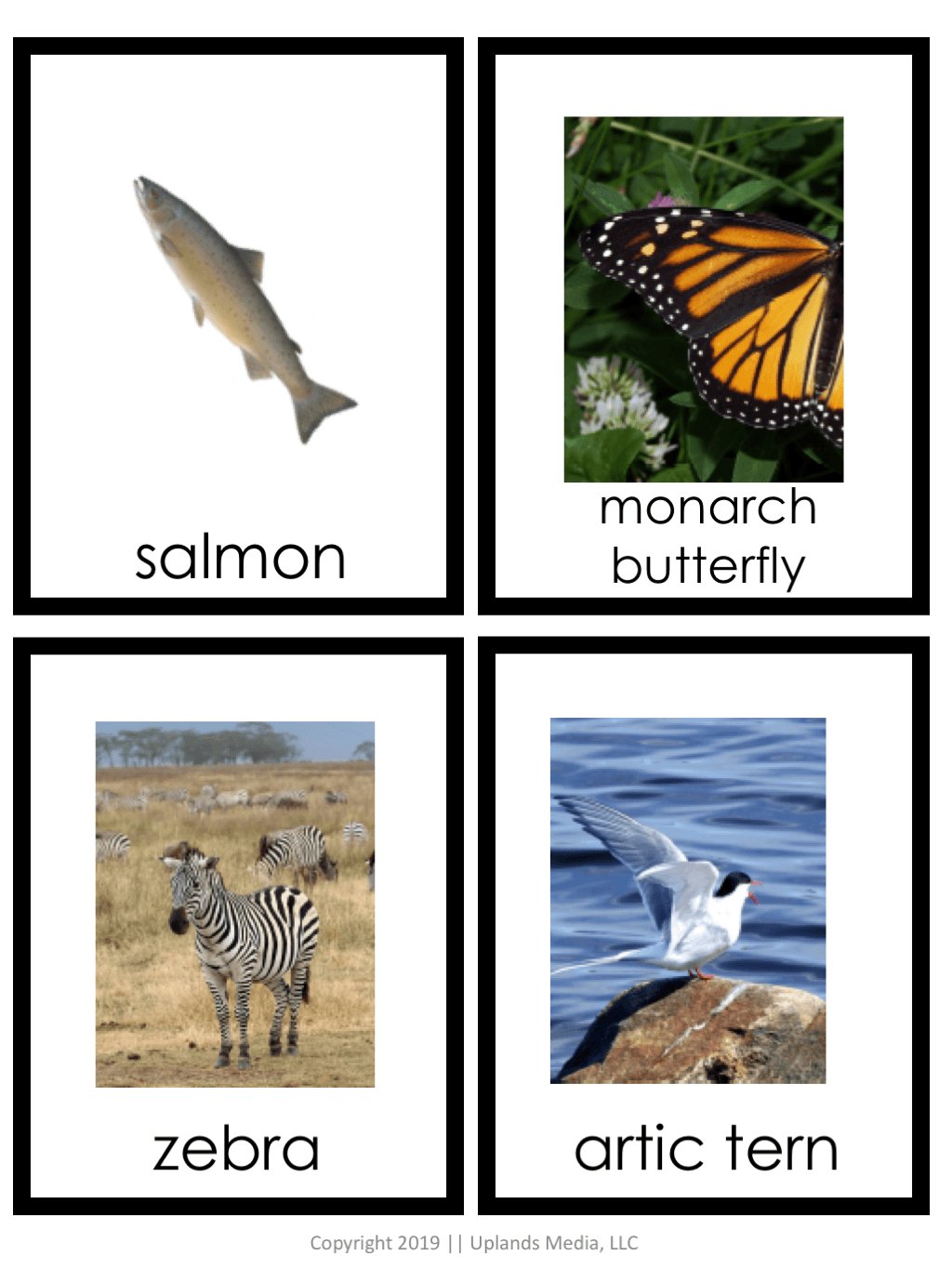 Winter Animals - Migrators, Hibernators, and Adaptors Sort - Printables by Carrots Are Orange