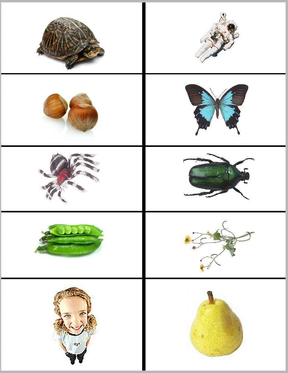 Life Sciences Activities Pack - Carrots Are Orange - 6