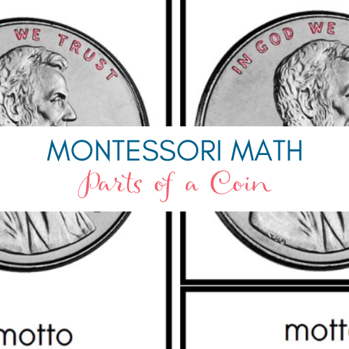 [FREE]  Parts of the Coin - Montessori Printables by Carrots Are Orange