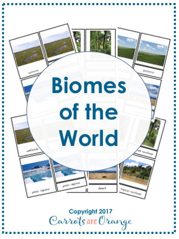 Montessori Biomes of the World 3-Part Cards - Montessori Printables by Carrots Are Orange