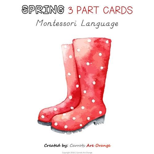 Spring 3 Part Cards - Carrots Are Orange - 1